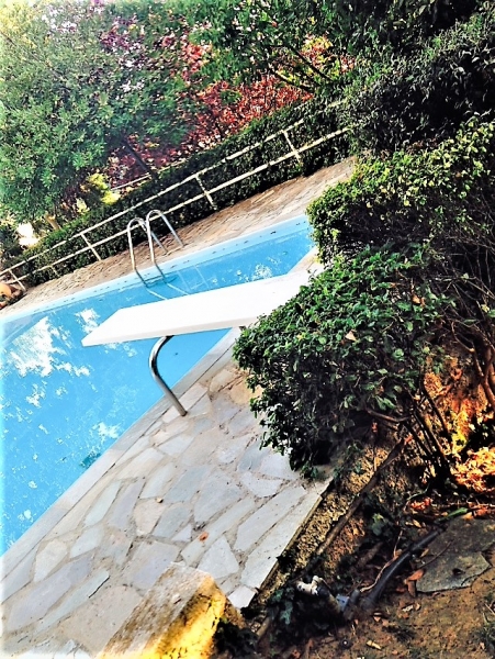 SubstandardFullSizeRender (8).jpg